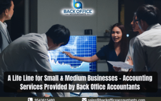 A Life Line for Small & Medium Businesses - Accounting Services Provided by Back Office Accountants